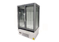 Double Glass Door Plug In Upright Multideck Freezer With Glass On Both Sides