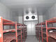 Ice Cream / Frozen Food Cold Storage Room With Swing Door , Copeland Scroll Compressor