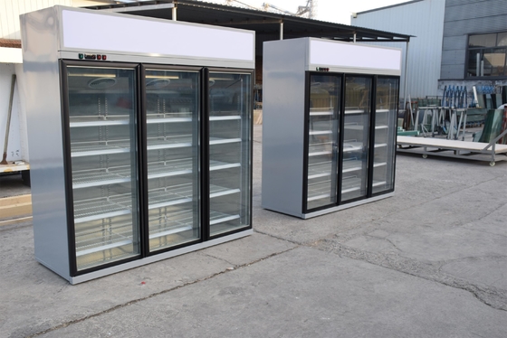 Refrigerador multi vertical de la cubierta con la puerta de cristal esmaltada doble