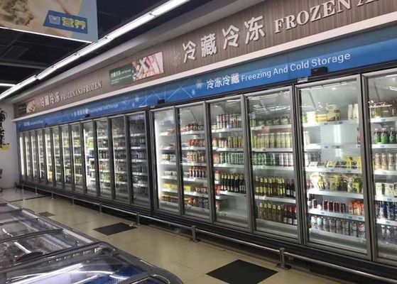 Carel Thermostat Commercial Upright Freezer para la comida congelada
